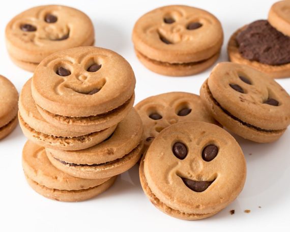biscuit